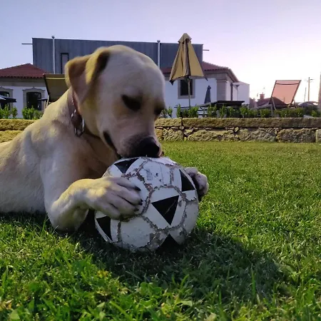 Paco De Vilharigues Hotell